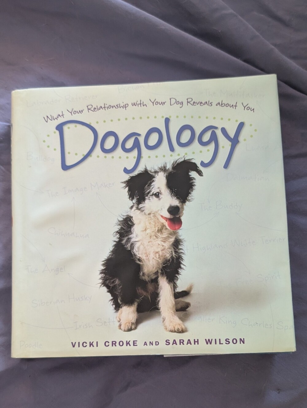 Dogology: What Your Relationship with Your Dog Reveals about You
